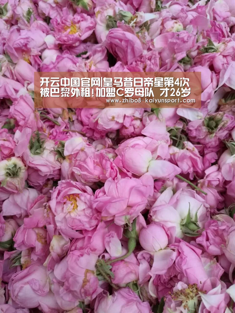开云中国官网|皇马昔日帝星第4次被巴黎外租!加盟C罗母队 才26岁(图2) 开云官方平台